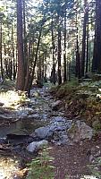 limekilnstatepark037