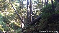 limekilnstatepark064