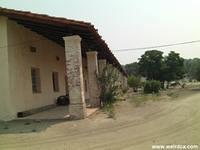 CIMG0499