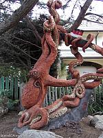 octopus attack14