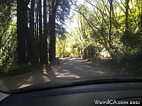pfeifferbeach03