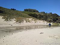 pfeifferbeach11