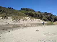 pfeifferbeach12