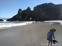 pfeifferbeach13