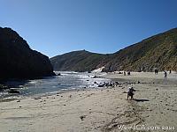pfeifferbeach40