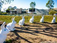 Part of Bunnyhenge