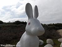 One of the 8 foot tall bunnies