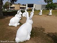 Bunnyhenge