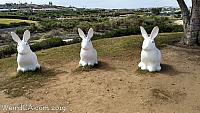 bunny henge50