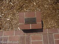 auburnstatues06