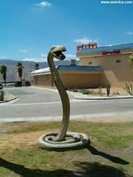 aas