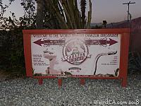 cabazon dinosaurs045
