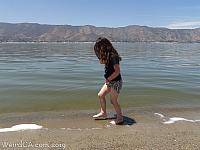 elsinore13