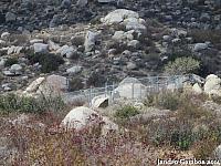 Maze Stone
