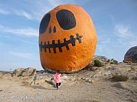 pumpkinrock20