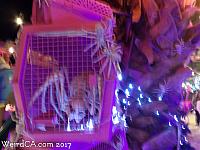 robolights050