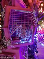 robolights051