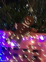 robolights054