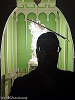 robolights310