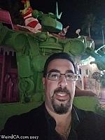 robolights311