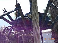 spider bug08