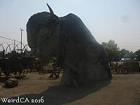 A Giant Buffalo