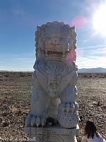 amboy guardians023