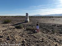 amboy guardians024