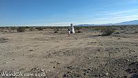 amboy guardians096