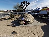 giant tortoise02