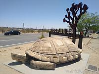 murtle02