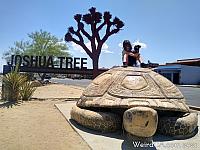 murtle08