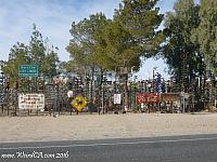 bottletreeranch11