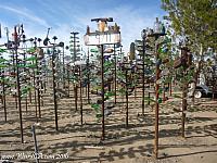 bottletreeranch15