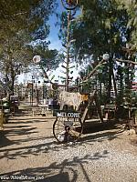 bottletreeranch22