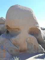 skull rock04