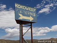 Kokoweef