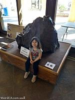 Tiffany with the Old Woman Meteorite