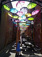 orange alley001