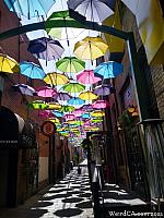 orange alley020
