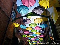 orange alley021