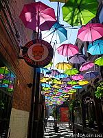 orange alley024