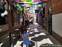 orange alley025