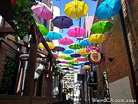 orange alley029