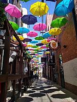 orange alley030