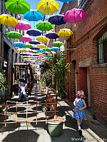 orange alley033