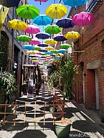 orange alley034