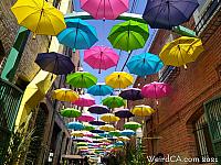 orange alley035