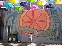 orange alley036