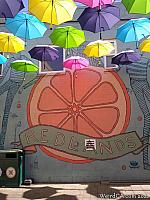 orange alley039